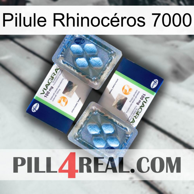 Pilule Rhinocéros 7000 viagra5